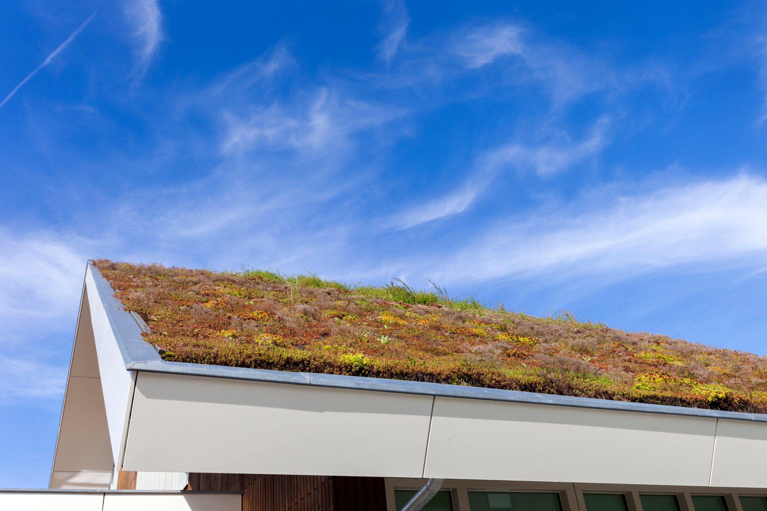 Dakisolatie gecombineerd met een groen dak vol mos
